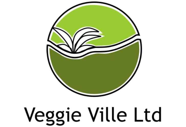 VEGGIE VILLE LOGO(1)
